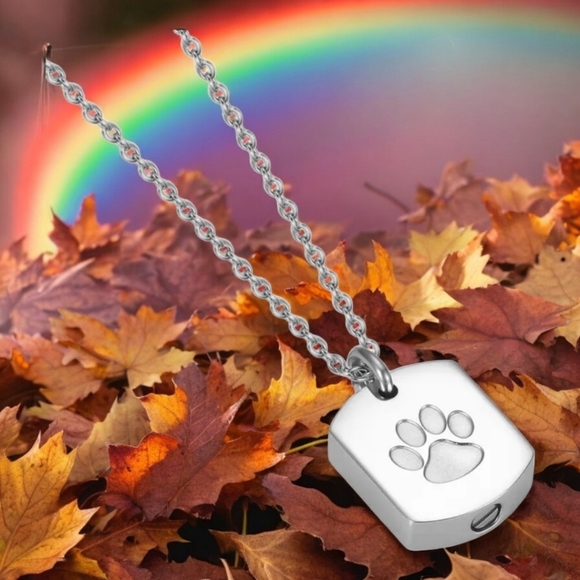 Pet cremation ashes necklace, memorial, rainbow bridge jewelry - Picture 1 of 7